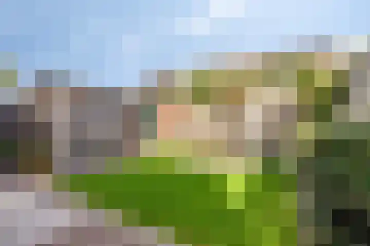 Gerberahof 2 Zwaag thumbnail 5