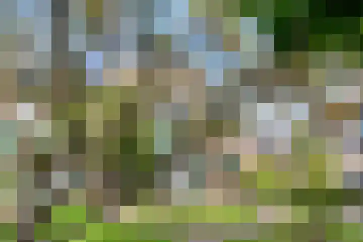 Gerberahof 2 Zwaag thumbnail 6