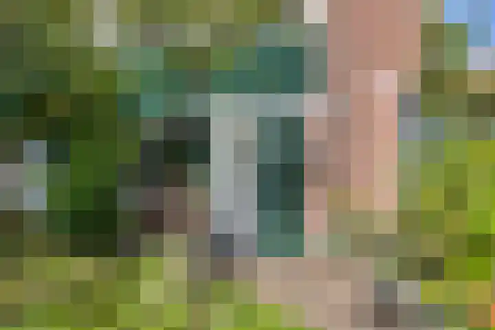 Gerberahof 2 Zwaag thumbnail 7