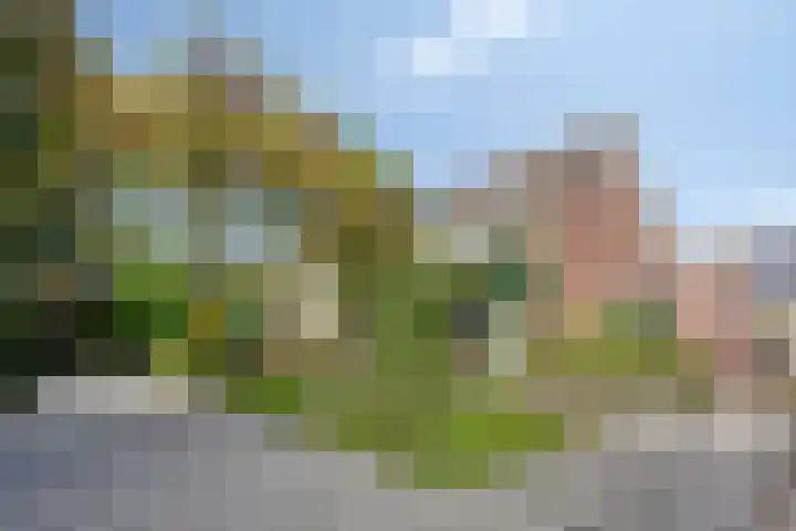 Gerberahof 2 Zwaag thumbnail 8