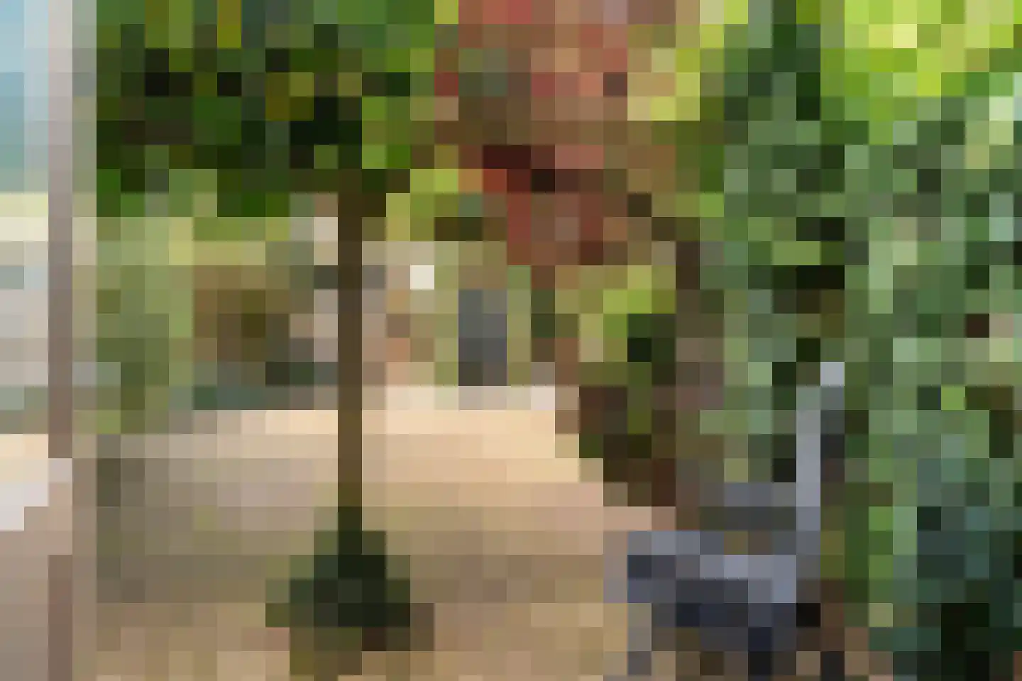 Gerberahof 6 Noordwijk thumbnail 15