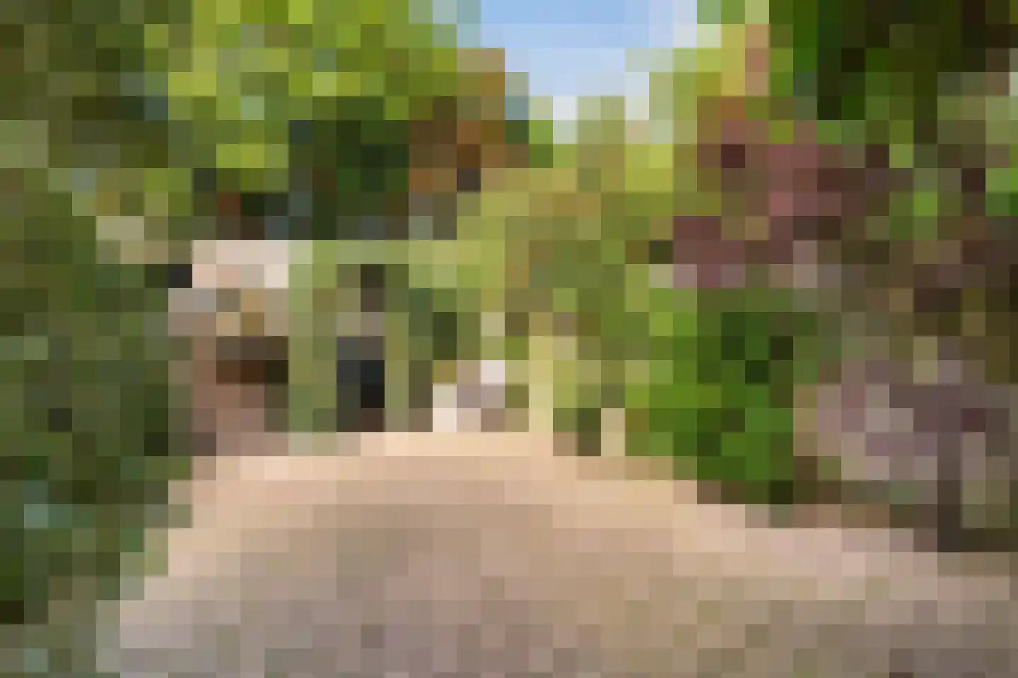 Gerberahof 6 Noordwijk thumbnail 16