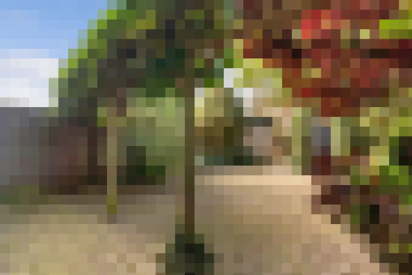 Gerberahof 6 Noordwijk thumbnail 36