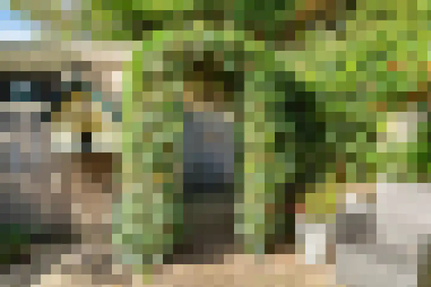 Gerberahof 6 Noordwijk thumbnail 38