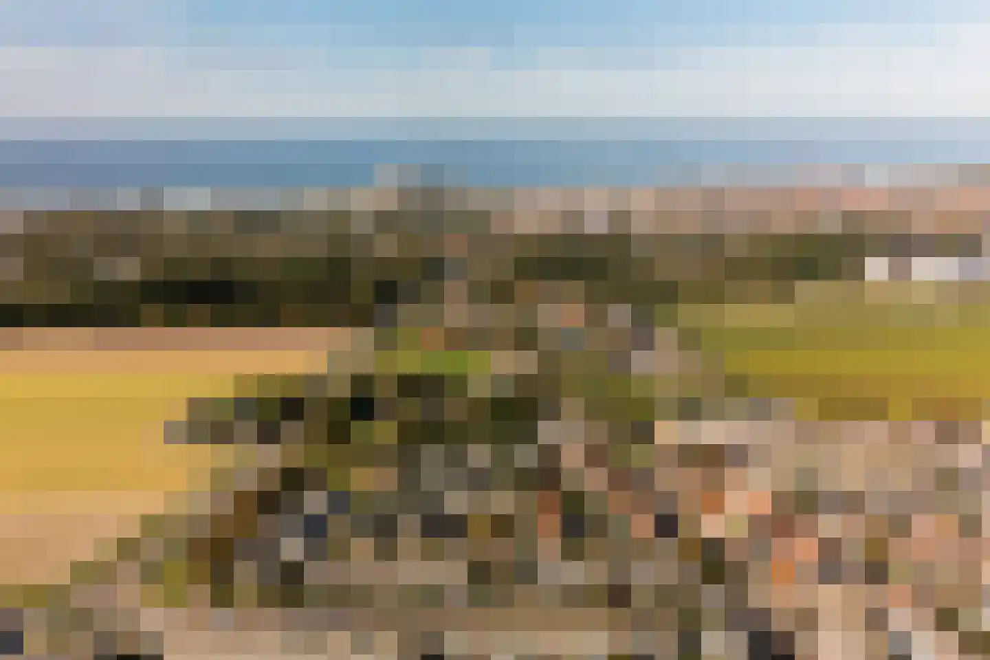 Gerberahof 6 Noordwijk thumbnail 45