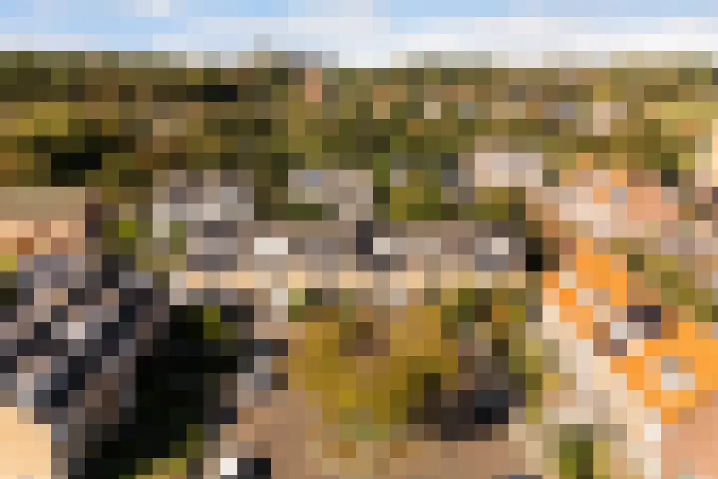 Gerberahof 6 Noordwijk thumbnail 49
