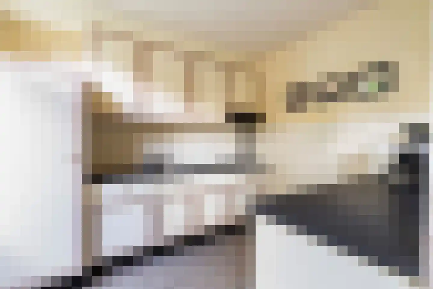 Gerberahof 6 Noordwijk thumbnail 5