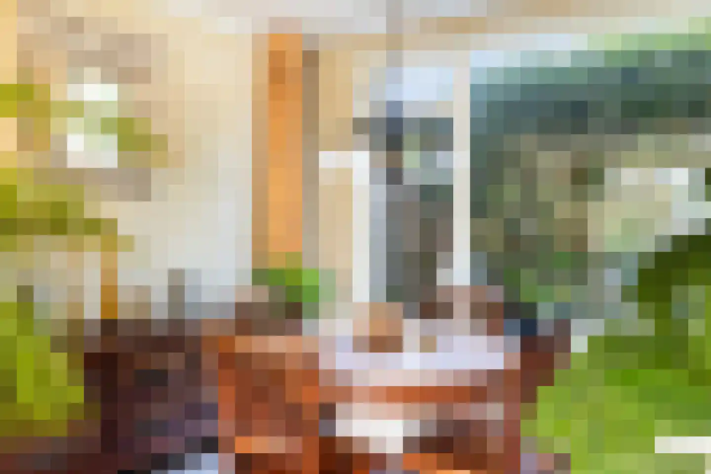 Gerberahof 6 Noordwijk thumbnail 9