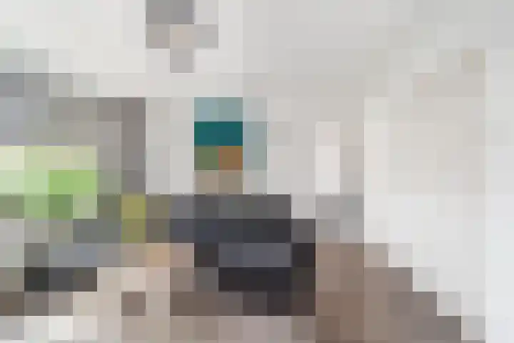 Gerberalaan 101 Naaldwijk thumbnail 10