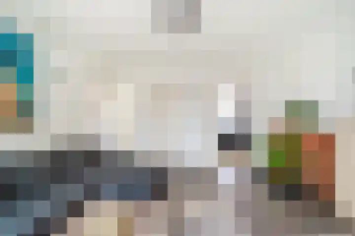 Gerberalaan 101 Naaldwijk thumbnail 11