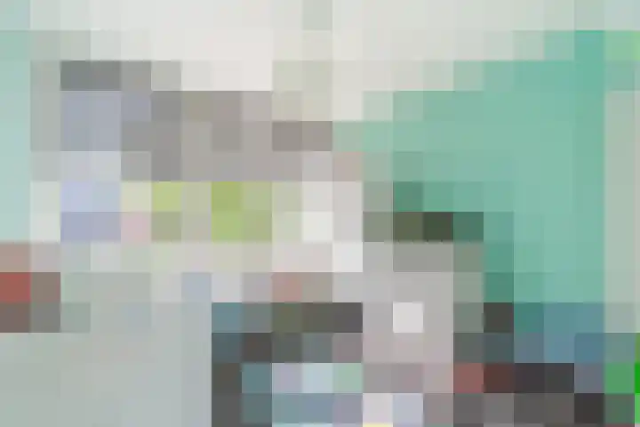 Gerberalaan 101 Naaldwijk thumbnail 14