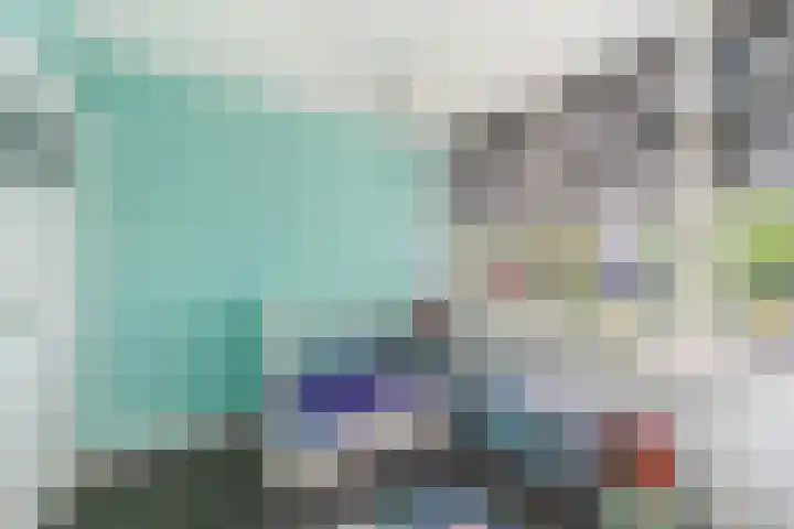 Gerberalaan 101 Naaldwijk thumbnail 15
