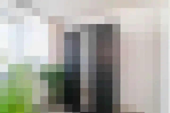 Gerberalaan 101 Naaldwijk thumbnail 17