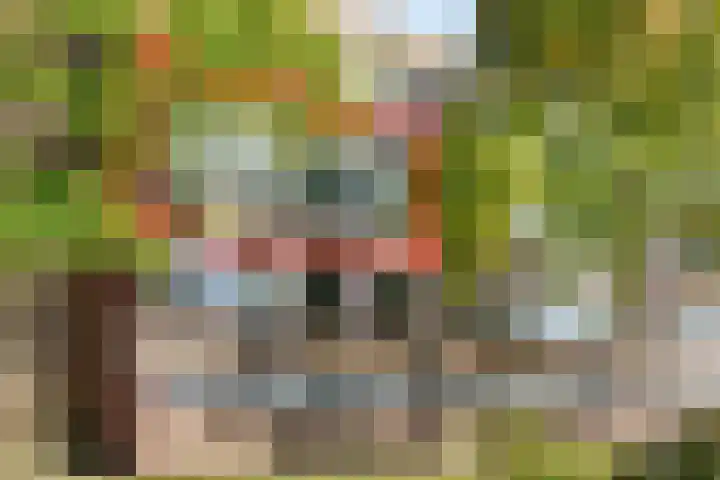 Gerberalaan 101 Naaldwijk thumbnail 21