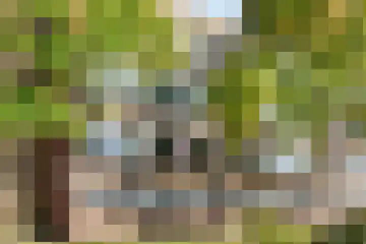 Gerberalaan 101 Naaldwijk thumbnail 22