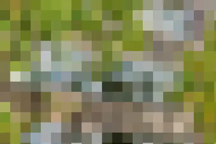 Gerberalaan 101 Naaldwijk thumbnail 23