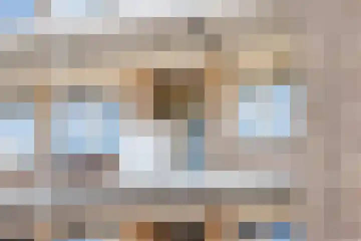 Gerberalaan 101 Naaldwijk thumbnail 24