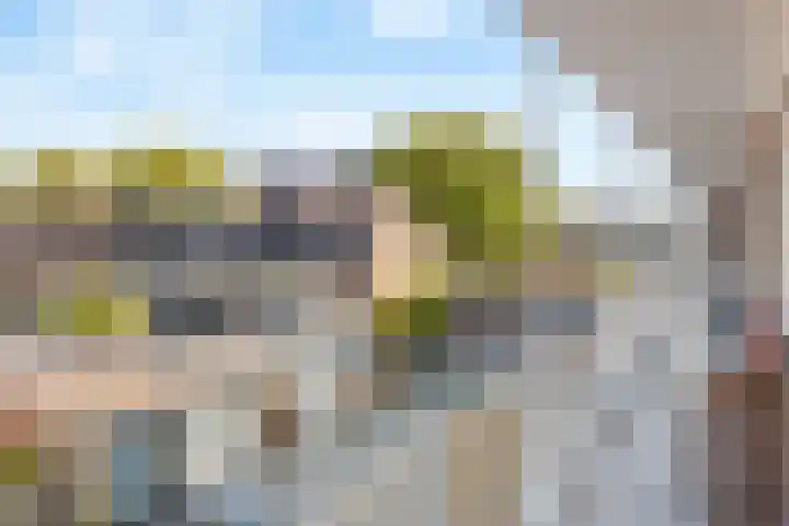 Gerberalaan 101 Naaldwijk thumbnail 25