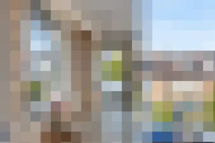 Gerberalaan 101 Naaldwijk thumbnail 26