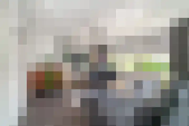 Gerberalaan 101 Naaldwijk thumbnail 8