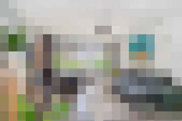 Gerberalaan 101 Naaldwijk thumbnail 9