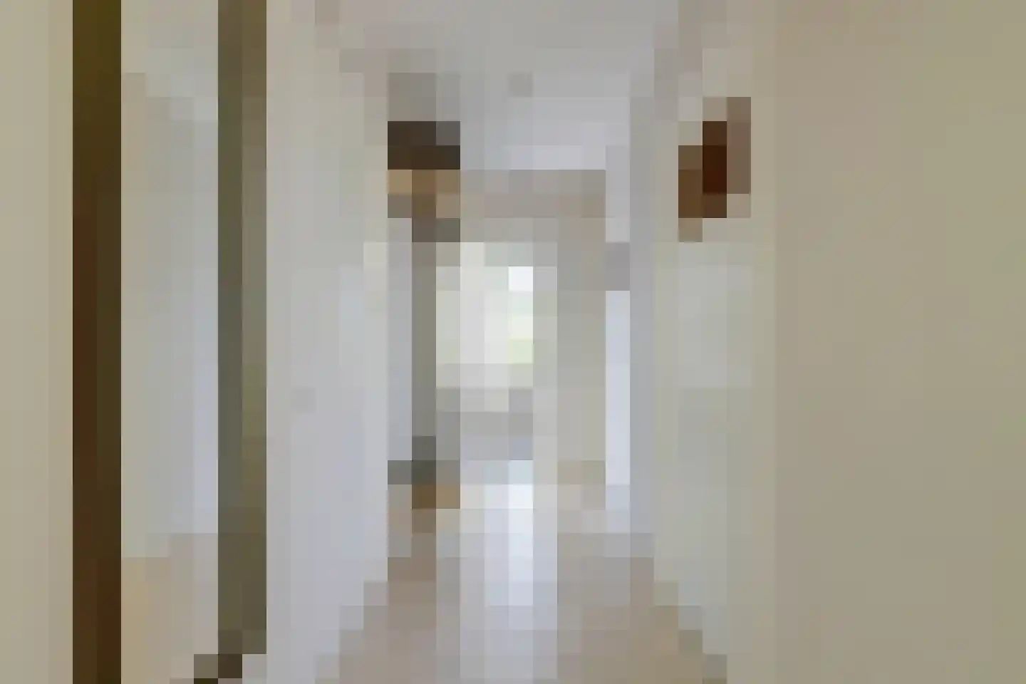 Gerberalaan 103 Naaldwijk thumbnail 10