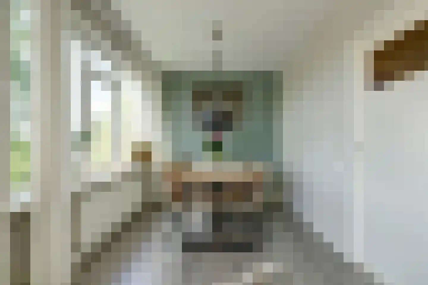 Gerberalaan 103 Naaldwijk thumbnail 15