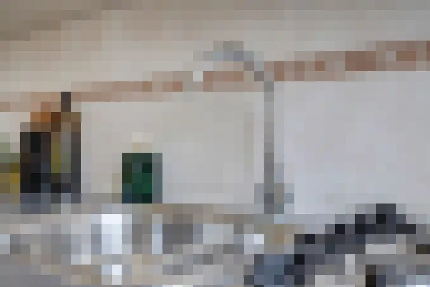 Gerberalaan 103 Naaldwijk thumbnail 19