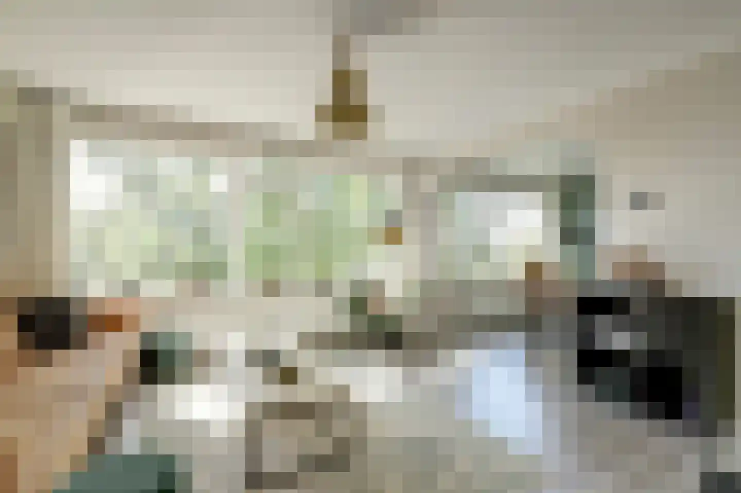 Gerberalaan 103 Naaldwijk thumbnail 4