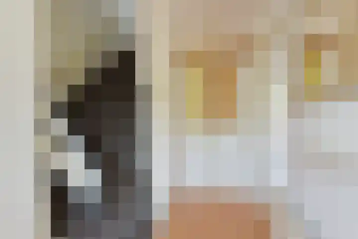 Gerberalaan 104 De Kwakel thumbnail 14