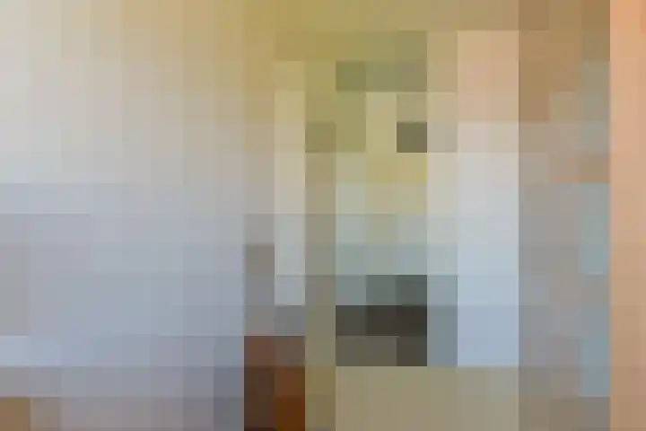 Gerberalaan 104 De Kwakel thumbnail 16