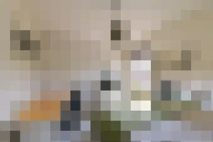 Gerberalaan 104 De Kwakel thumbnail 19