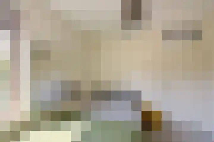 Gerberalaan 104 De Kwakel thumbnail 20