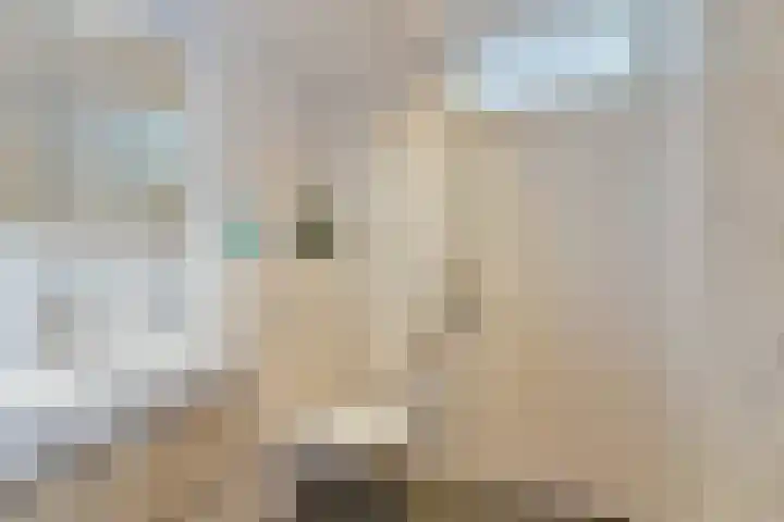 Gerberalaan 104 De Kwakel thumbnail 22