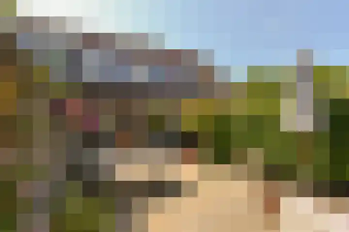 Gerberalaan 104 De Kwakel thumbnail 26