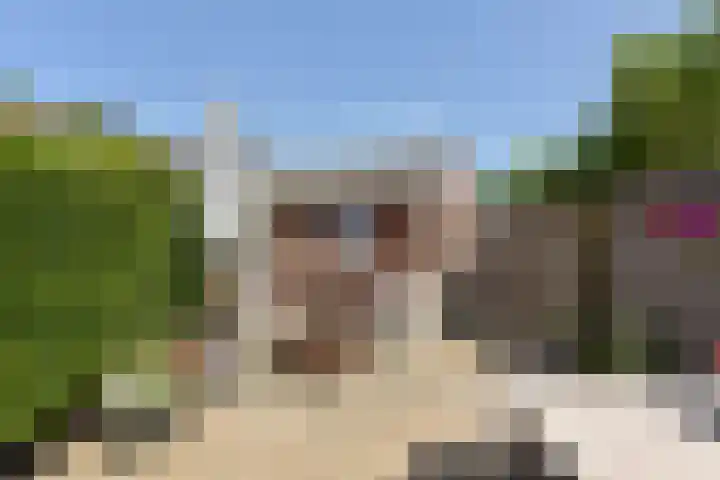 Gerberalaan 104 De Kwakel thumbnail 29