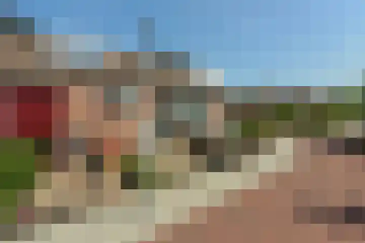 Gerberalaan 104 De Kwakel thumbnail 30