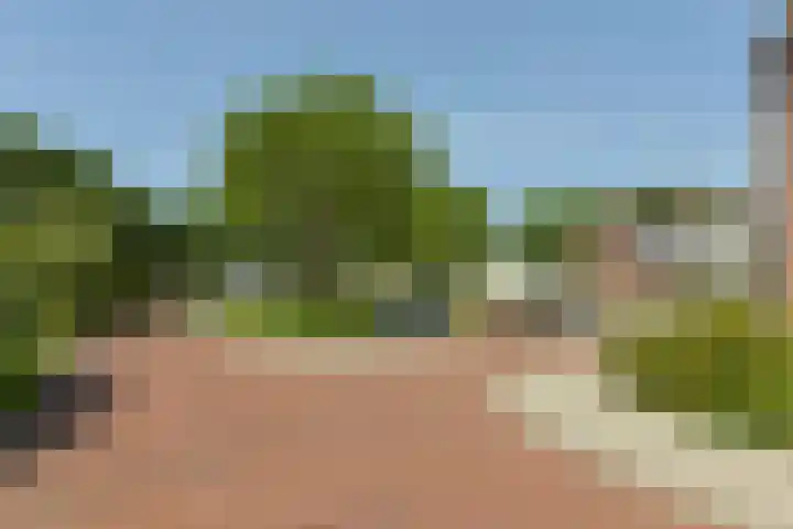Gerberalaan 104 De Kwakel thumbnail 31
