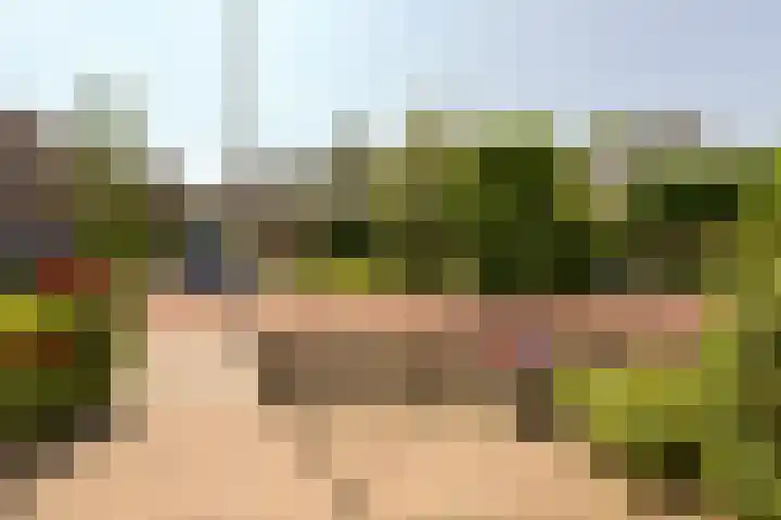 Gerberalaan 104 De Kwakel thumbnail 32