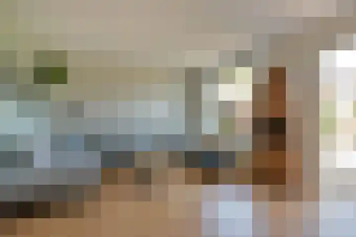 Gerberalaan 104 De Kwakel thumbnail 4