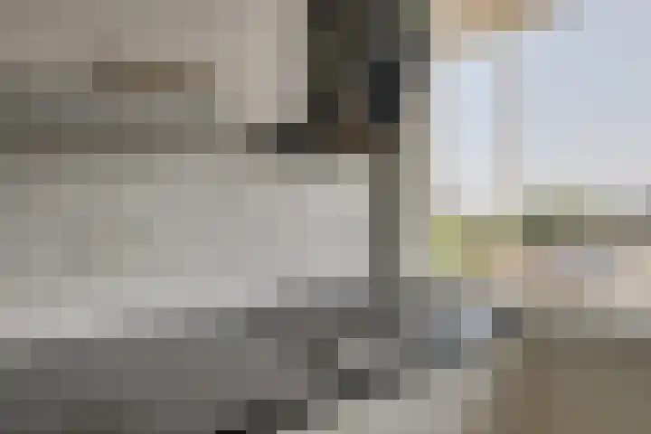 Gerberalaan 113 Naaldwijk thumbnail 16