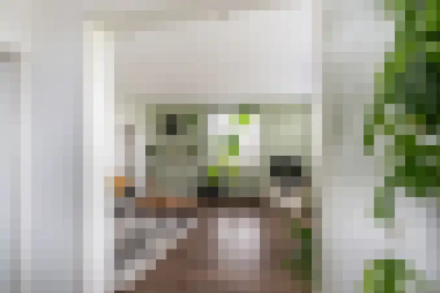 Gerberalaan 119 Naaldwijk thumbnail 15