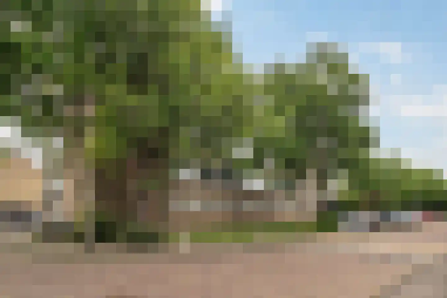 Gerberalaan 119 Naaldwijk thumbnail 27