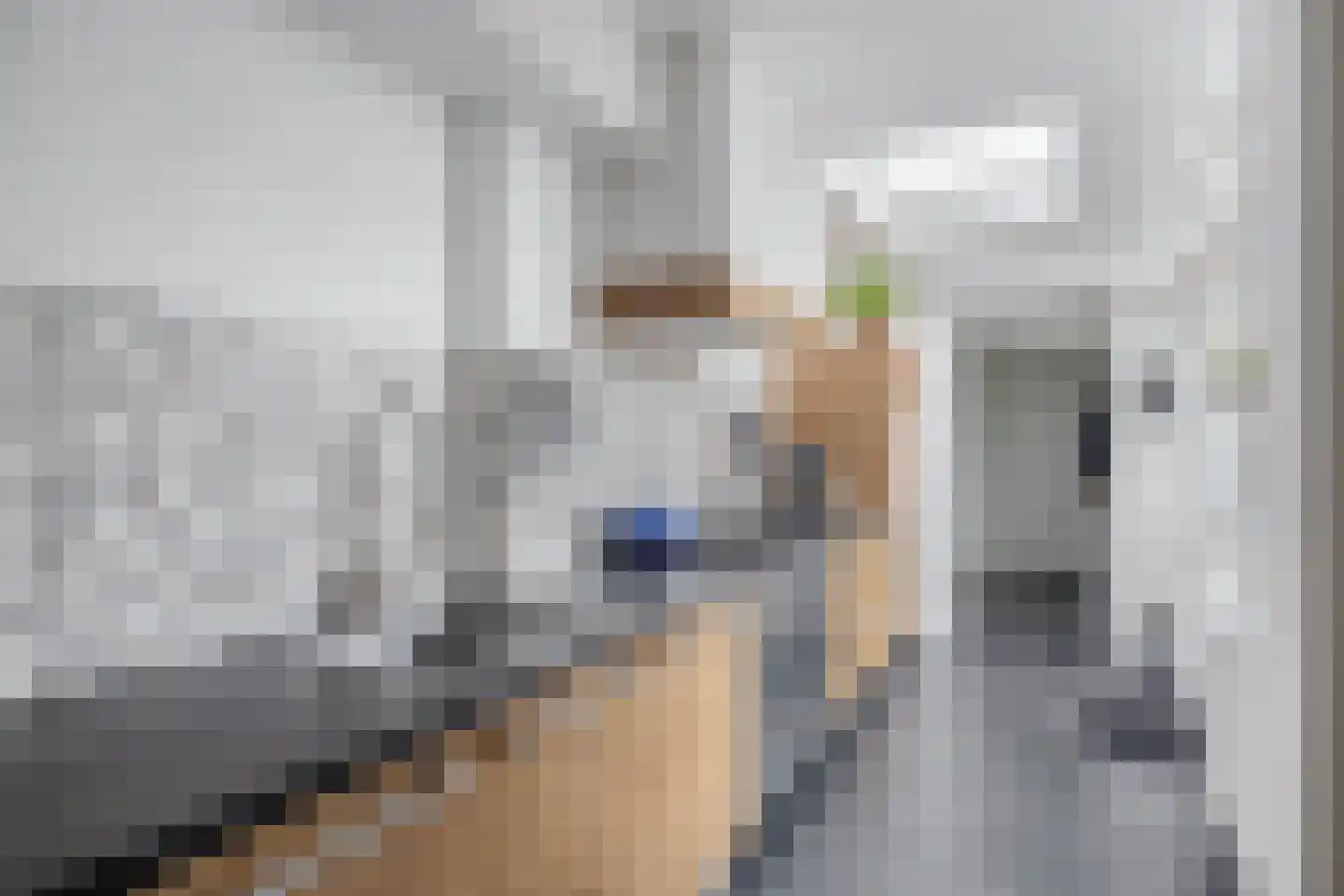 Gerberalaan 18 Naaldwijk thumbnail 11