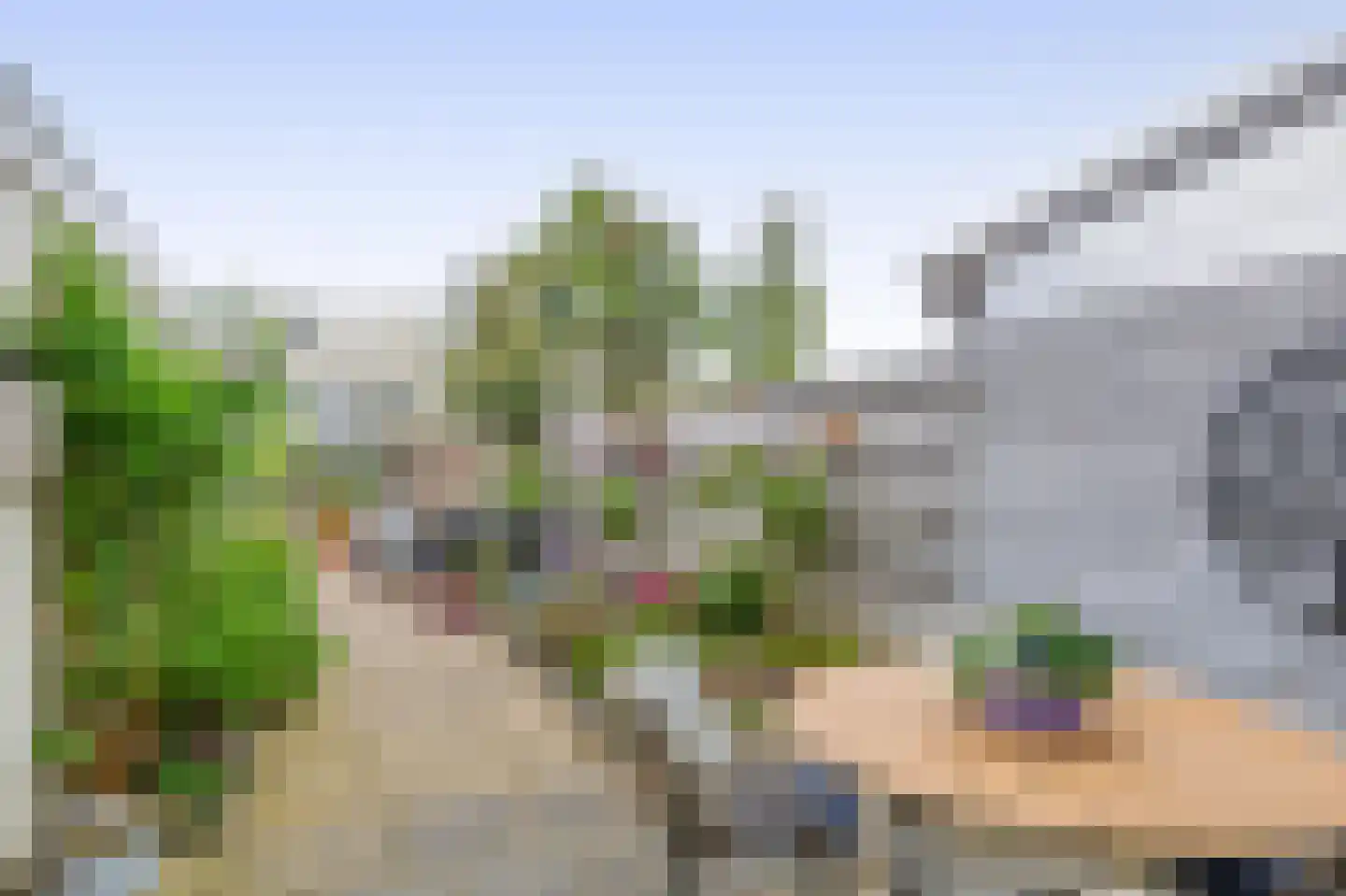 Gerberalaan 18 Naaldwijk thumbnail 15