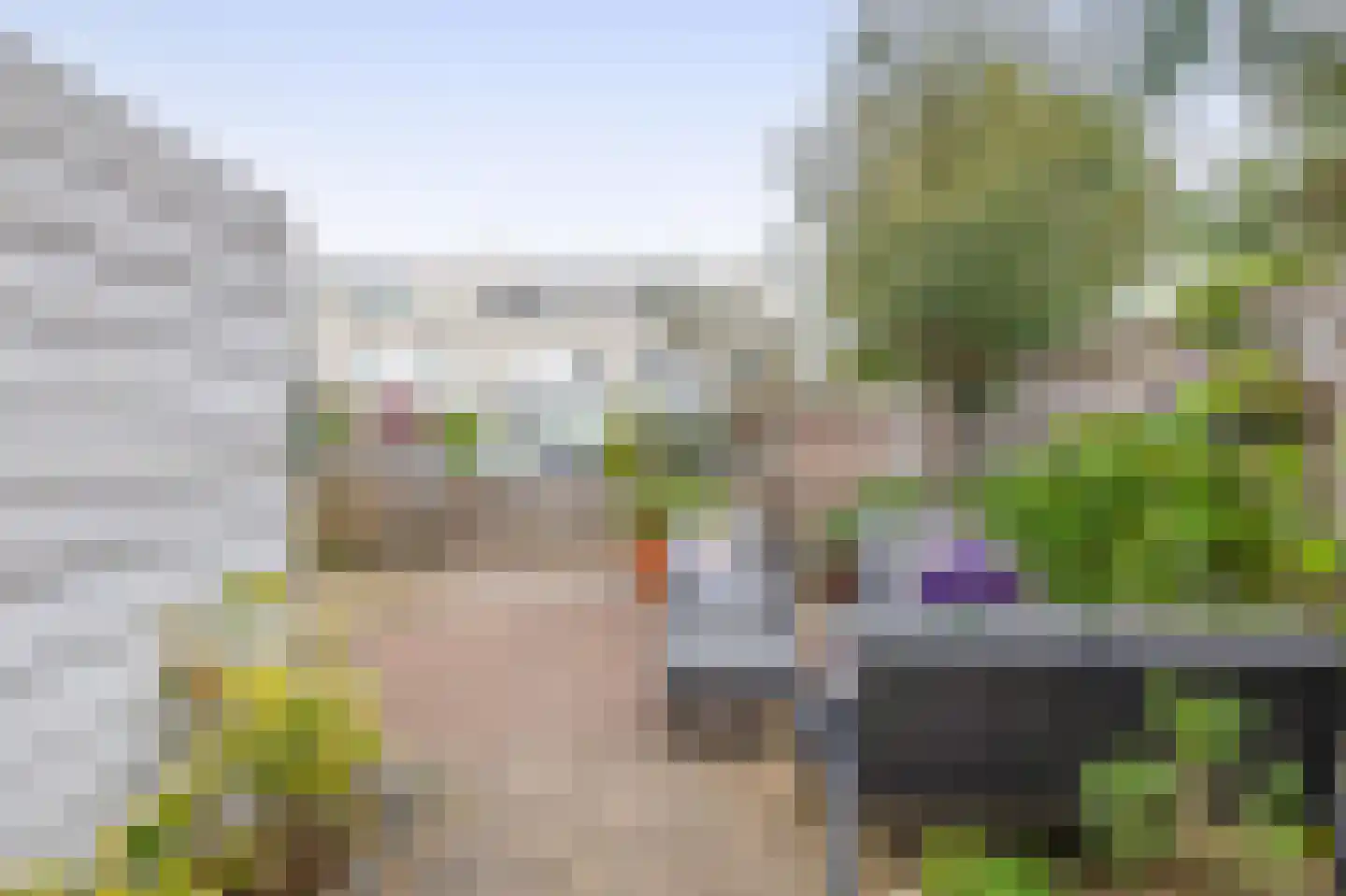 Gerberalaan 18 Naaldwijk thumbnail 16