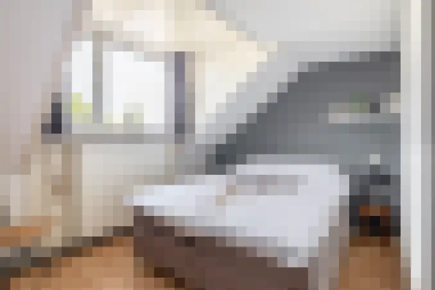 Gerberalaan 18 Naaldwijk thumbnail 26