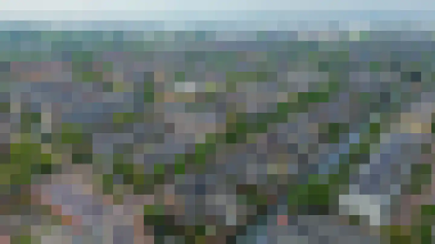 Gerberalaan 18 Naaldwijk thumbnail 35