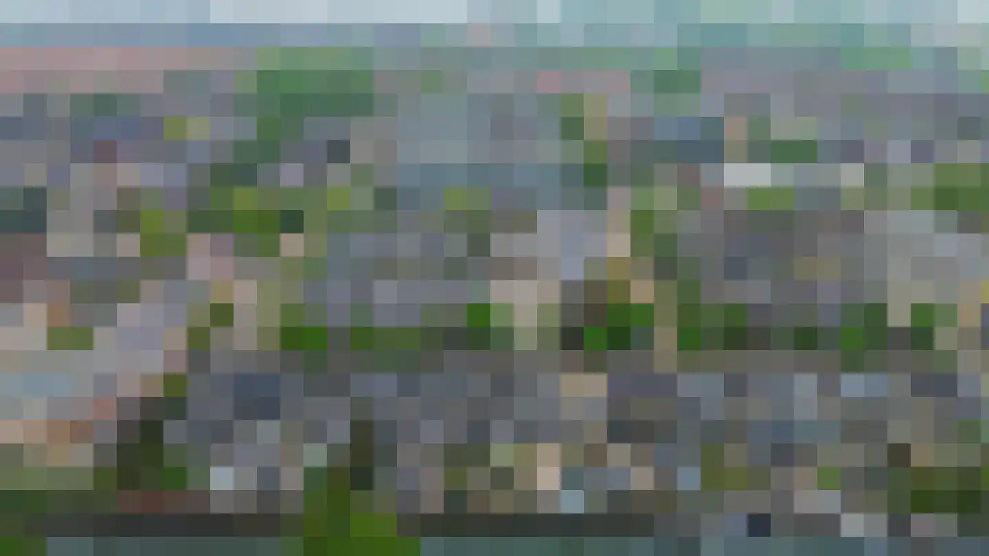Gerberalaan 18 Naaldwijk thumbnail 36