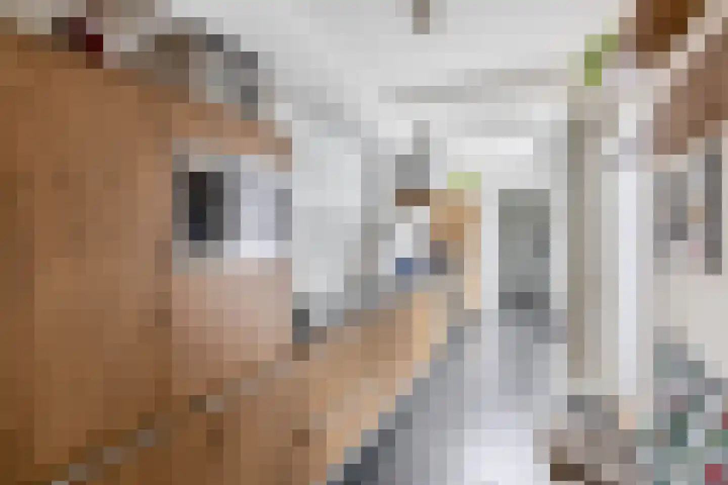 Gerberalaan 18 Naaldwijk thumbnail 4